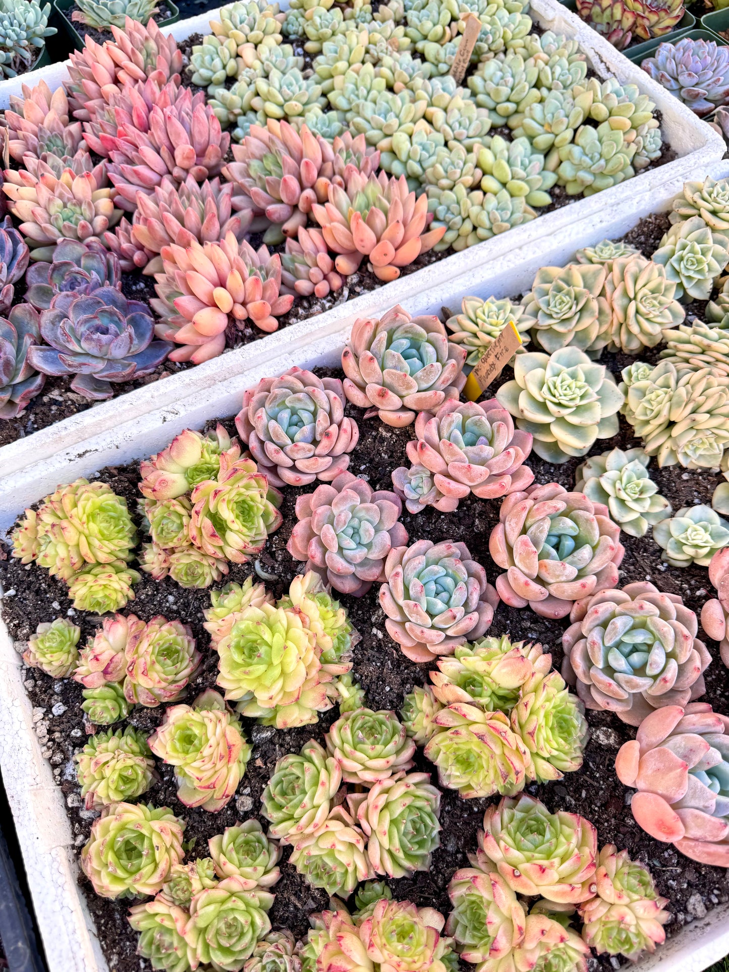 RESERVED ORDER FOR J.R